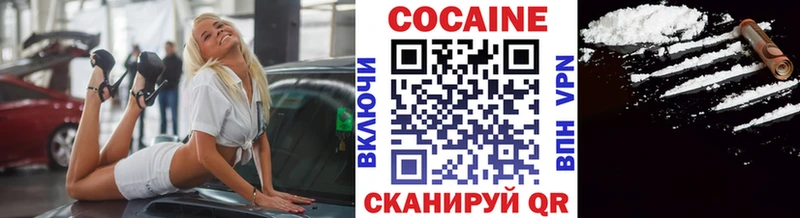 hydra как войти  Ядрин  COCAIN FishScale 