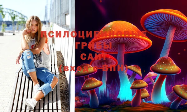 PSILOCYBIN Абаза
