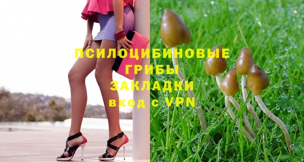 a pvp Абинск
