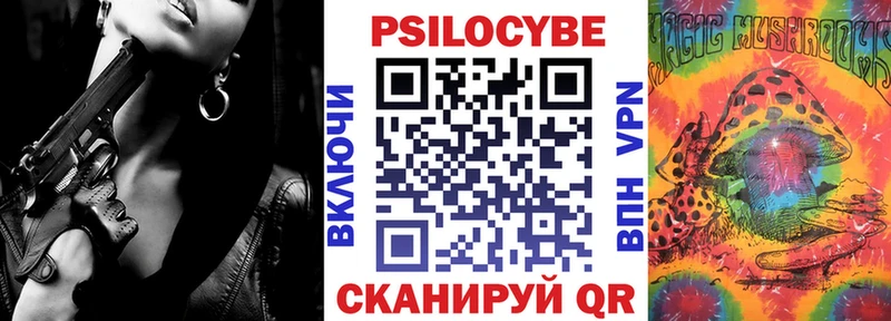 Галлюциногенные грибы Psilocybe  Ядрин 